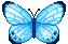 sparkling_butterfly.gif
