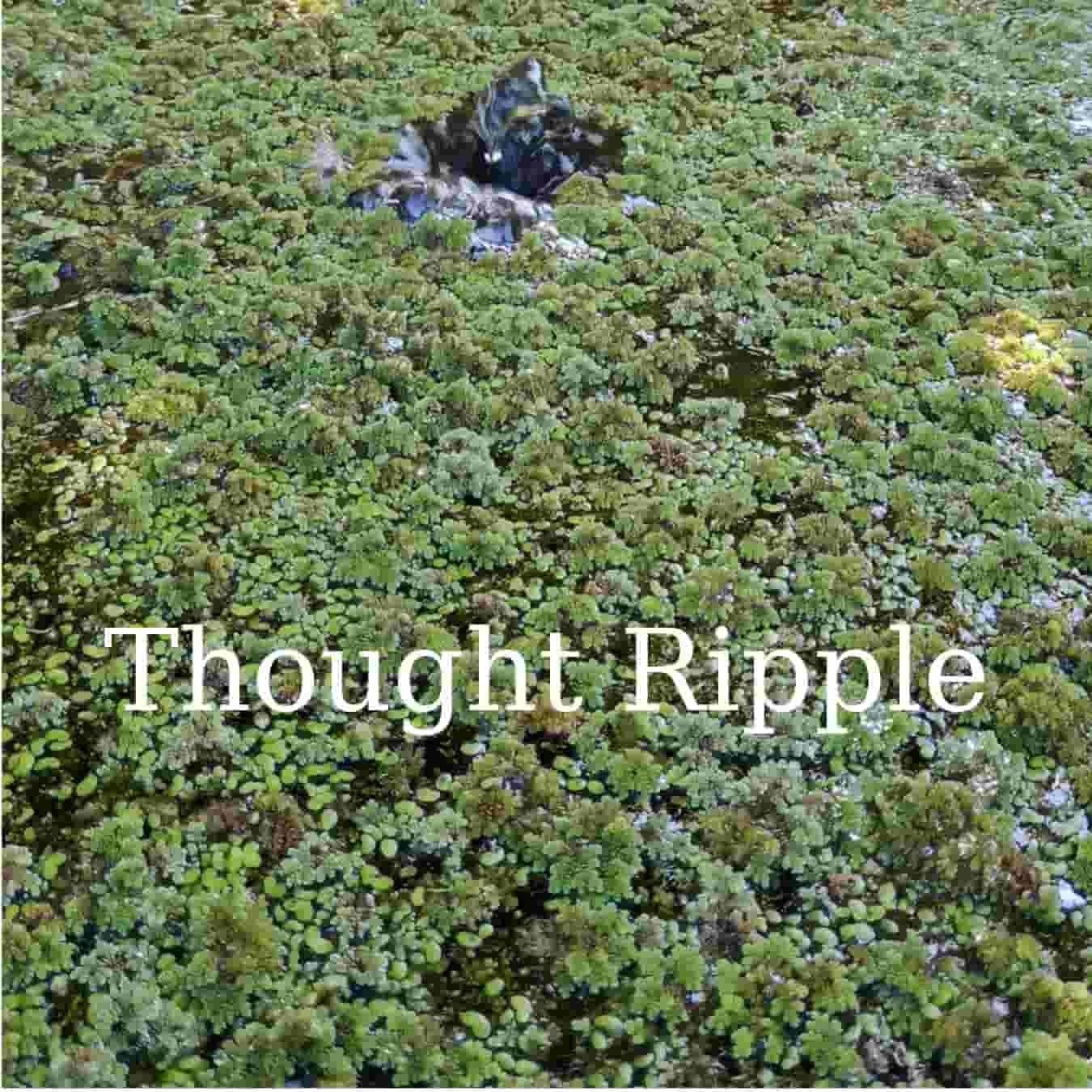 Thought_Ripple.jpg