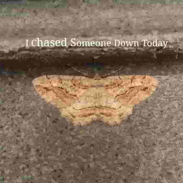 I_Chased_Someone_Down_Today.jpg