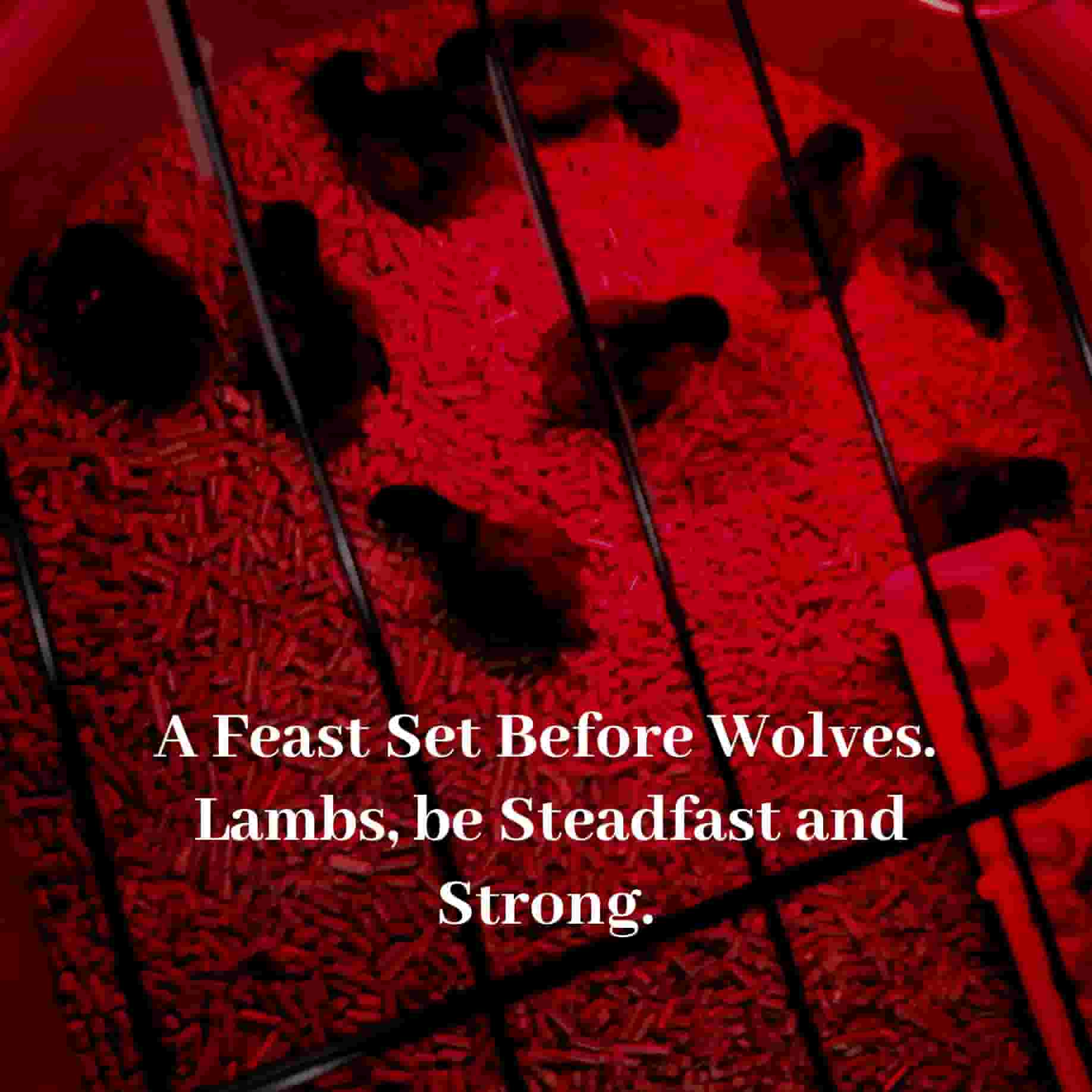 20240616_A_Feast_Set_Before_Wolves_Lambs_be_Steadfast_and_Strong