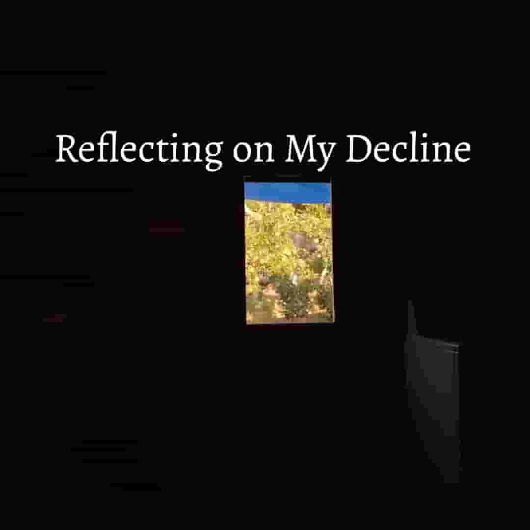 Reflecting_on_My_Decline.jpg
