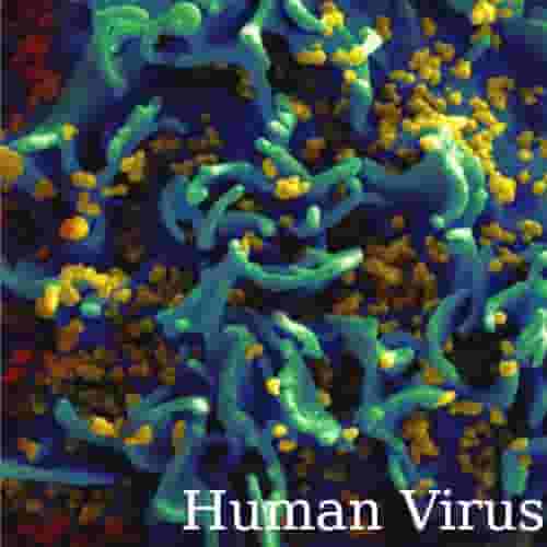 Human_Virus.jpg
