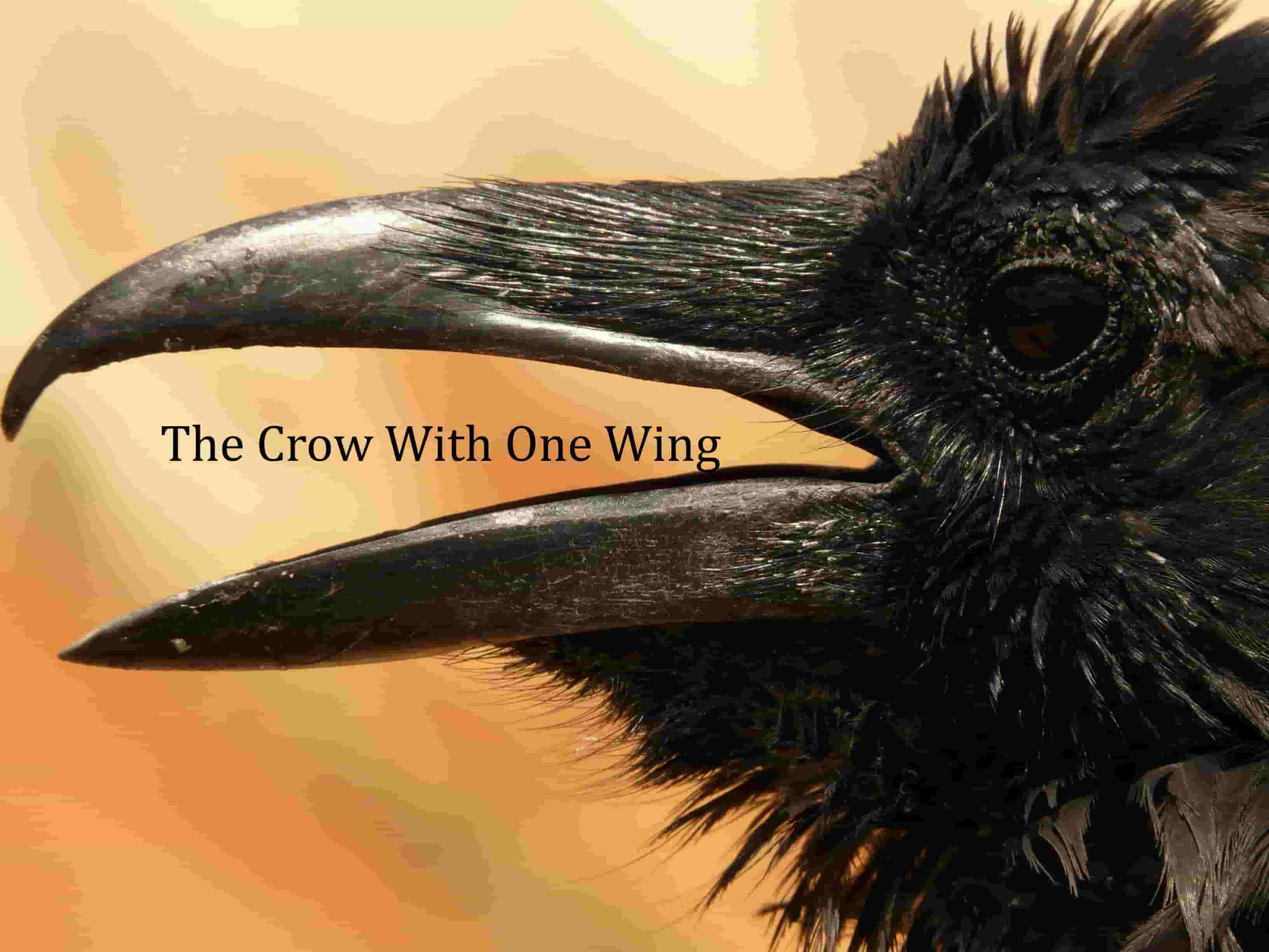 The_Crow_With_One_Wing-min.jpg