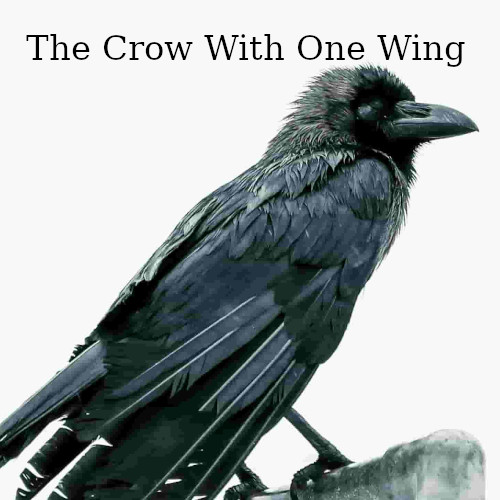 The_Crow_With_One_Wing.jpg