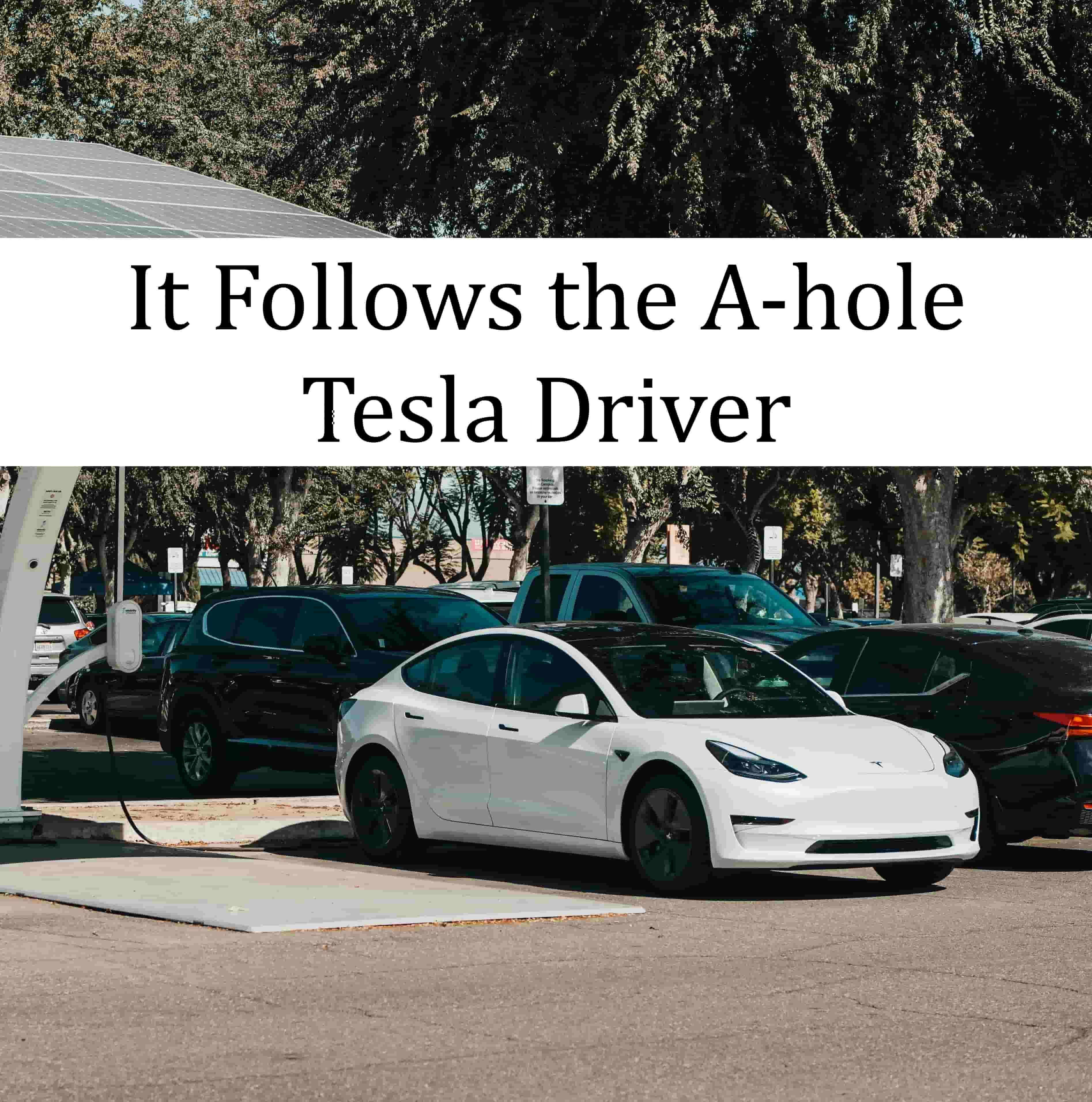 It_Follows_the_A-hole_Tesla_Driver-min.jpg