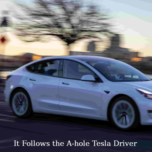 It_Follows_the_A-hole_Tesla_Driver.jpg