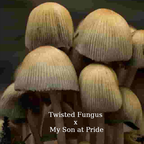 Twisted_Fungus_x_My_Son_at_Pride.jpg