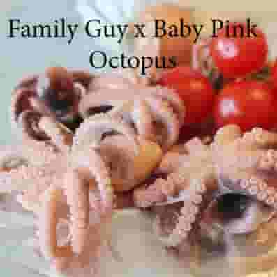 Family_Guy_x_Baby_Pink_Octopus.jpg