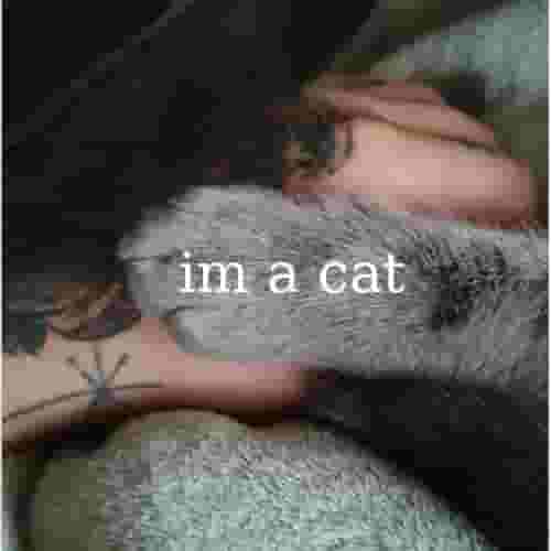 im_a_cat.jpg