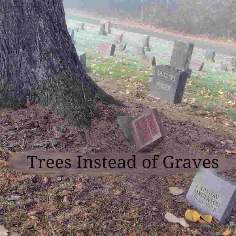 Trees_Instead_of_Graves.jpg