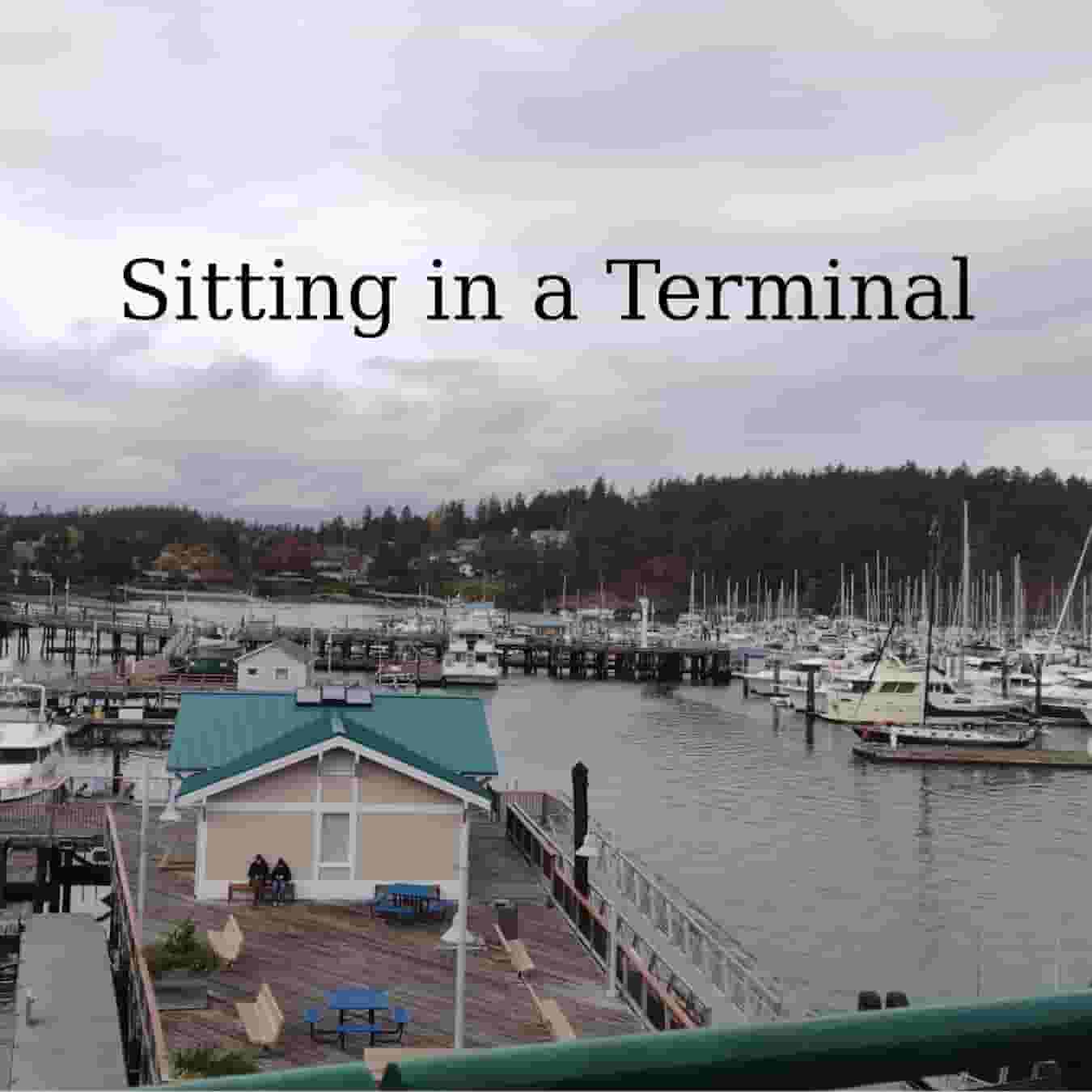 Sitting_in_a_Terminal.jpg